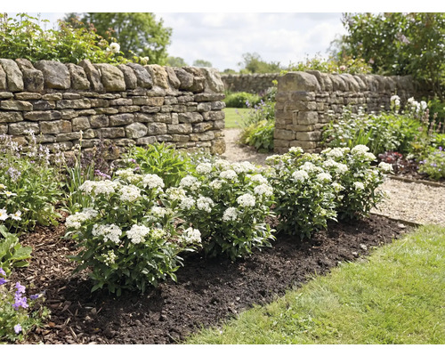 Gartenanlage mit Steinmauer und blühenden Sträuchern