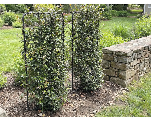 Deux treillis métalliques couverts de feuillage se dressent dans le jardin.