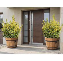 Plantes décoratives dans des cuves en bois devant une porte d'entrée