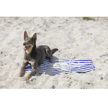 Chien allongé sur une serviette de plage dans le sable