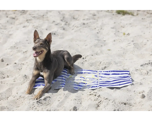 Chien allongé sur une serviette de plage dans le sable