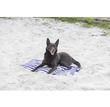 Un chien est allongé sur une serviette de plage.