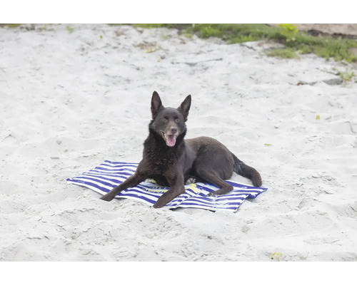 Un chien est allongé sur une serviette de plage.