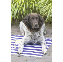 Chien Münsterländer allongé sur une natte de plage rayée