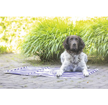 Un chien est allongé sur un tapis de plage rayé bleu et blanc dans le jardin.