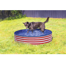 Chien dans une pataugeoire pour chiens à rayures