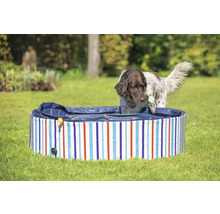 Chien entrant dans une piscine pour chien rayée sur une pelouse