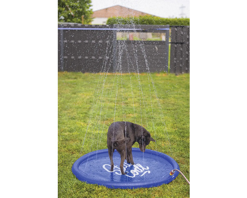 Un chien se tient dans une pataugeoire bleue arrosée d'eau, dans le jardin.