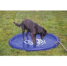 Chien dans une pataugeoire ronde avec des arroseurs d'eau sur une pelouse