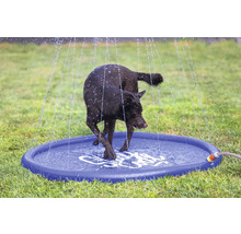 Chien se rafraîchit sur un tapis de jeu d'eau dans le jardin.