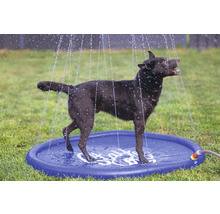 Chien se tenant sur un tapis de jeu d'eau pour chiens