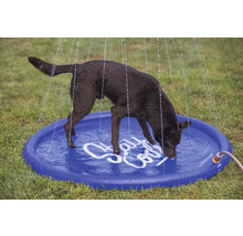 Un chien boit dans une pataugeoire-douche bleue dans le jardin.