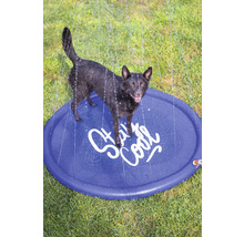 Un chien se tient sur une aire de jeux d'eau bleue et ronde avec l'inscription Stay Cool, tandis que des jets d'eau tombent d'en haut.
