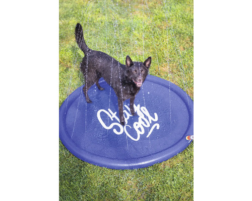 Un chien se tient sur une aire de jeux d'eau bleue et ronde avec l'inscription Stay Cool, tandis que des jets d'eau tombent d'en haut.