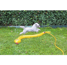 Chien sautant par-dessus un arroseur de jardin en forme de serpent