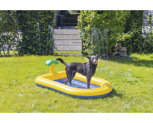 Chien debout dans une piscine gonflable pour chiens dans le jardin.