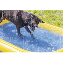 Un chien patauge dans une pataugeoire jaune.