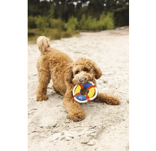 Chien avec jouet pour chien dans la gueule