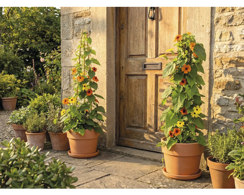Blumen in Töpfen vor einer Haustür