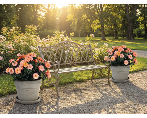 Szene mit Gartenbank und Blumentöpfen im Aussenbereich
