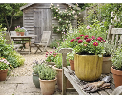 Scène de jardin avec cabanon en bois, groupe de table de jardin et pots de fleurs plantés sur un banc en bois