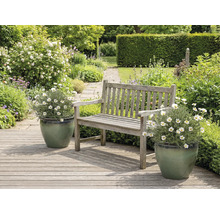 Aménagement paysager de jardin avec des bancs en bois et des marguerites dans des jardinières.