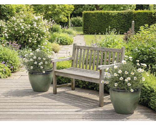 Aménagement paysager de jardin avec des bancs en bois et des marguerites dans des jardinières.