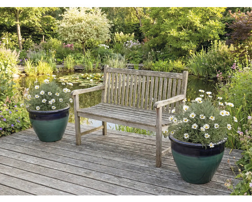 Scène de jardin avec banc en bois, étang et plantes en pot sur terrasse en bois