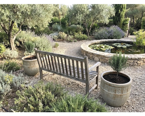 Gartenszene mit Holzbank, Pflanzenkübeln und Teich