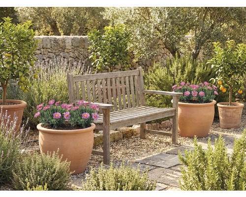 Gartenbereich mit Holzbank und Blumentöpfen