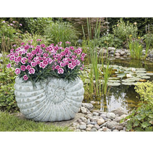 Gartenszene mit Teich und bepflanztem Pflanzgefäss in Schneckenform