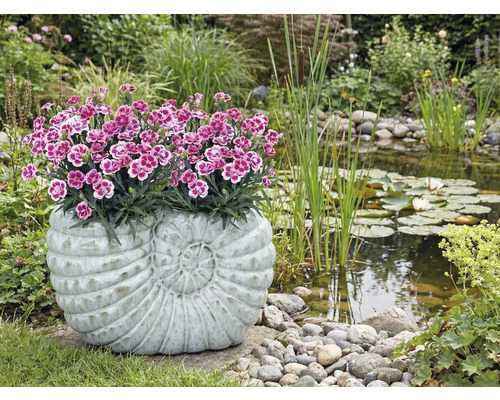 Gartenszene mit Teich und bepflanztem Pflanzgefäss in Schneckenform