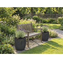 Gartenlandschaft mit Holzbank und Pflanzen in strukturierten Pflanzgefäßen