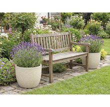 Garten mit Holzbank und Lavendel in Pflanzgefässen
