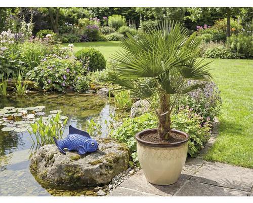 Gartenszene mit Teich, blaue Fischfigur auf Stein und Palme im Topf