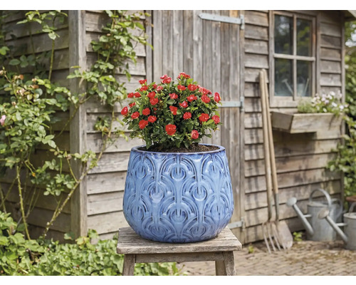Dekorativer Blumentopf mit roter Rose auf einem Holzhocker vor einem Gartenhaus.