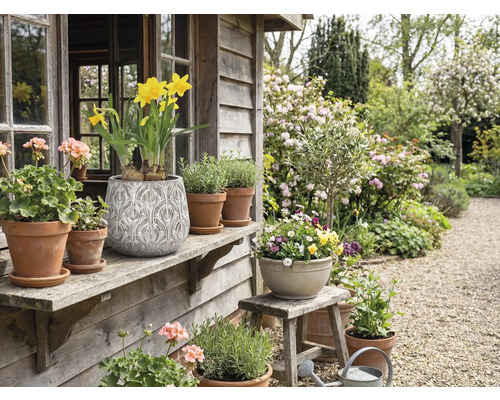 Dekorativer Garten mit Topfpflanzen und Blumen auf einer Holzveranda