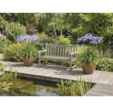 Scène de jardin avec un banc en bois, des agapanthes en pot et un bassin