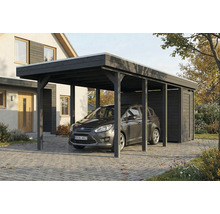 Voiture sous un abri de voiture avec remise à outils sur un terrain