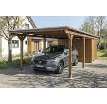 Voiture sous carport en bois avec débarras
