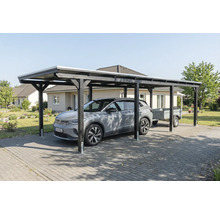 Auto unter einem Einzelcarport aus Holz mit Flachdach