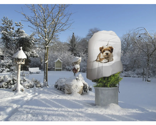 Paysage hivernal avec sac de protection des plantes à motif de chien pour la protection des plantes dans le jardin.