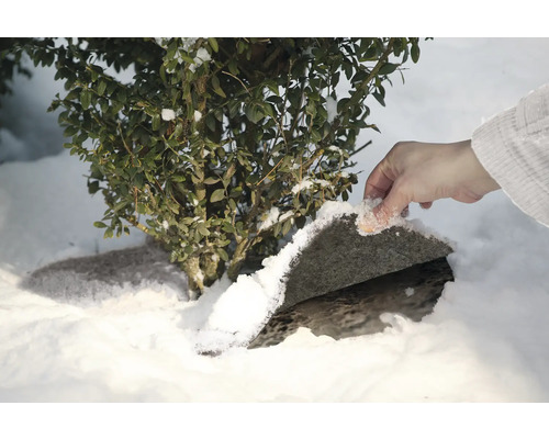 Scène de jardin d'hiver avec buis et main enlevant la neige