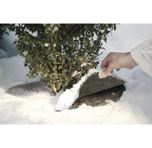 Scène de jardin d'hiver avec buis et main enlevant la neige