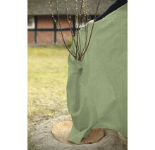 Protection hivernale pour plantes en jute dans le jardin