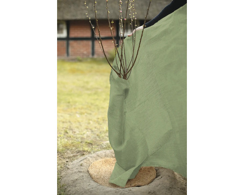Protection hivernale pour plantes en jute dans le jardin