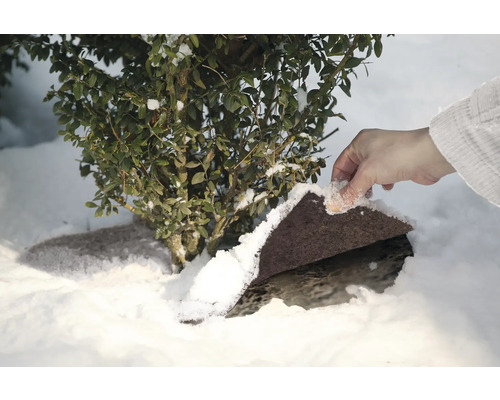 Voile d'hivernage pour protéger les plantes du gel