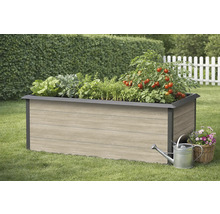 Jardinière en bois avec différents légumes, arrosoir et panier de fleurs dans le jardin