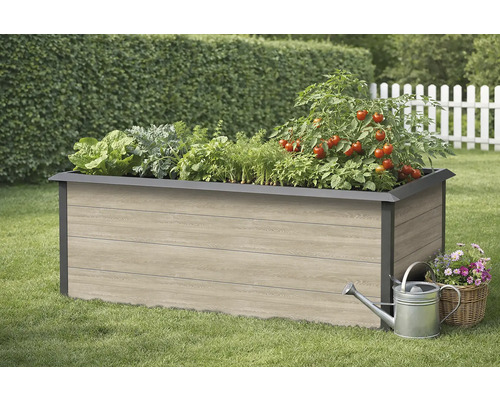 Jardinière en bois avec différents légumes, arrosoir et panier de fleurs dans le jardin