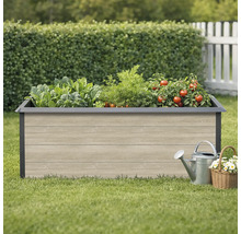 Jardinière surélevée avec légumes, arrosoir et panier de fleurs dans le jardin